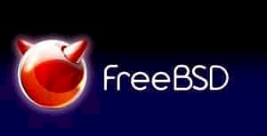 FreeBSD PKG MySQL 5.5 Kurulumu